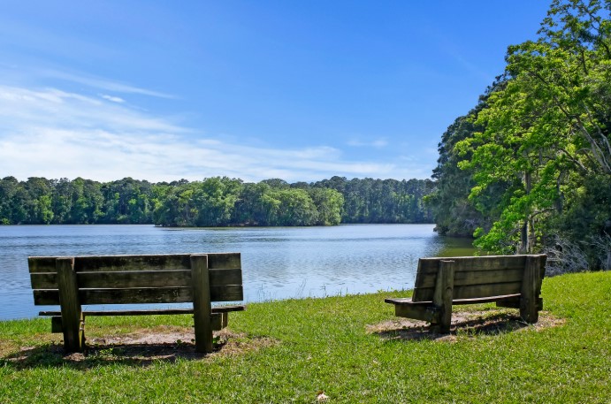 Forest Preserve